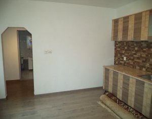 Appartement 2 chambres à louer dans Cluj-napoca, zone Iris