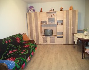 Appartement 2 chambres à louer dans Cluj-napoca, zone Iris