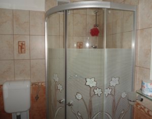 Studio à louer dans Cluj-napoca, zone Gara