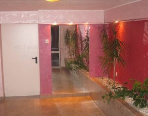 Appartement 3 chambres à louer dans Cluj-napoca, zone Andrei Muresanu