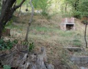 Appartement 2 chambres à louer dans Cluj-napoca