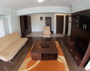 Appartement 2 chambres à louer dans Cluj-napoca, zone Plopilor