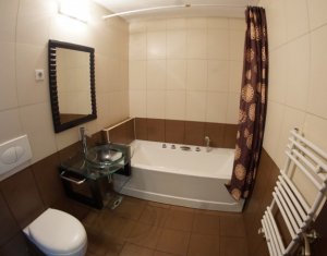 Appartement 2 chambres à louer dans Cluj-napoca, zone Plopilor