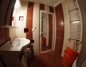 Appartement 1 chambres à louer dans Cluj-napoca, zone Gara