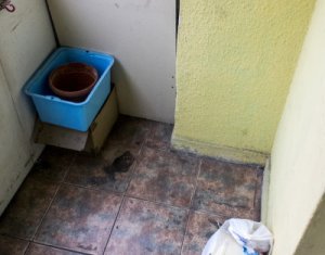 Appartement 2 chambres à louer dans Cluj-napoca, zone Marasti