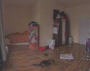Appartement 5 chambres à louer dans Cluj-napoca, zone Manastur