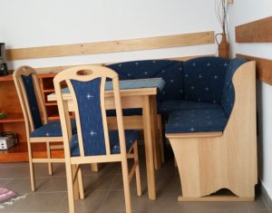 Appartement 2 chambres à louer dans Cluj-napoca, zone Marasti