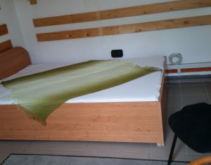 Appartement 2 chambres à louer dans Cluj-napoca, zone Marasti