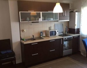 Appartement 1 chambres à louer dans Cluj-napoca