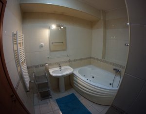 Appartement 2 chambres à louer dans Cluj-napoca, zone Andrei Muresanu