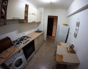 Appartement 2 chambres à louer dans Cluj-napoca, zone Gheorgheni