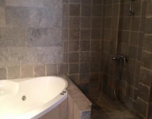 Appartement 2 chambres à louer dans Cluj-napoca, zone Andrei Muresanu