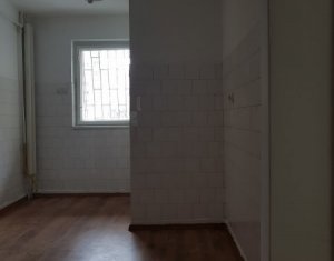 Appartement 4 chambres à louer dans Cluj-napoca, zone Manastur
