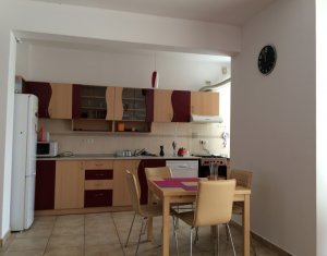 Appartement 4 chambres à louer dans Cluj-napoca, zone Andrei Muresanu