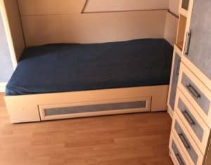 Appartement 4 chambres à louer dans Cluj-napoca, zone Andrei Muresanu