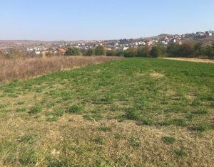 Terrain à vendre dans Cluj-napoca, zone Borhanci
