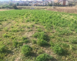 Terrain à vendre dans Cluj-napoca, zone Borhanci