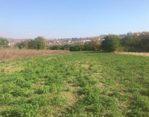 Terrain à vendre dans Cluj-napoca, zone Borhanci
