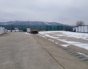 , 6646m2 on Iclod