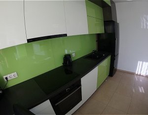Ház 5 szobák kiadó on Cluj-napoca, Zóna Intre Lacuri