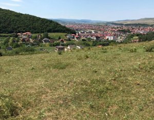 Terrain à vendre dans Floresti