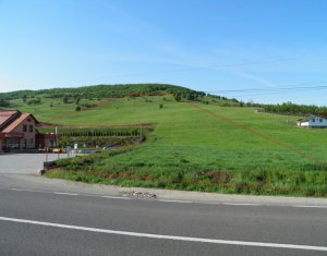 , 23500m2 on Mera