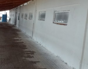 Espace Industriel à vendre dans Iclod
