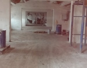 Espace Industriel à vendre dans Iclod