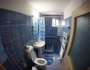 Appartement 1 chambres à louer dans Cluj-napoca, zone Grigorescu