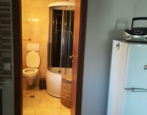 Appartement 2 chambres à louer dans Cluj-napoca, zone Someseni