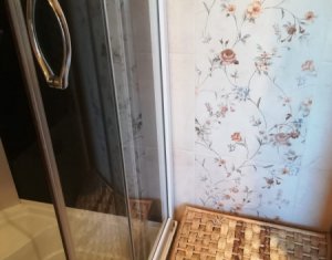 Appartement 2 chambres à louer dans Cluj-napoca, zone Someseni