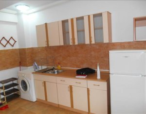 Appartement 1 chambres à louer dans Cluj-napoca, zone Centru