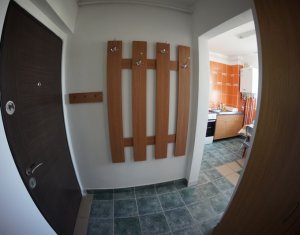 Appartement 2 chambres à louer dans Cluj-napoca, zone Gheorgheni