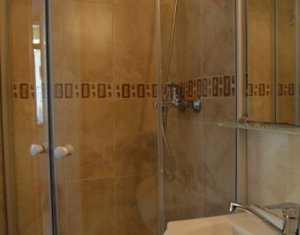 Studio à louer dans Cluj-napoca, zone Centru