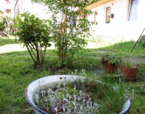 Lakás 1 szobák kiadó on Cluj-napoca, Zóna Centru
