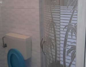 Appartement 1 chambres à louer dans Cluj-napoca
