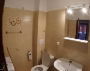 Appartement 2 chambres à louer dans Cluj-napoca, zone Manastur