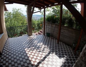 Appartement 3 chambres à louer dans Cluj-napoca, zone Grigorescu