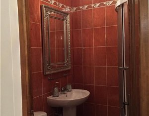 Appartement 4 chambres à louer dans Cluj-napoca, zone Buna Ziua