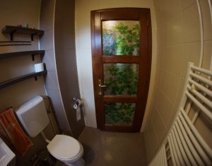 Appartement 2 chambres à louer dans Cluj-napoca, zone Gheorgheni