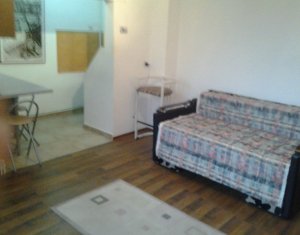 Appartement 1 chambres à louer dans Cluj-napoca, zone Andrei Muresanu