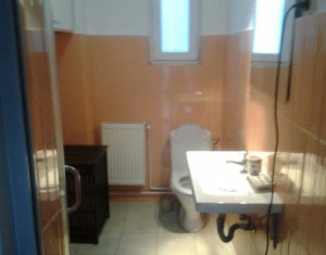 Appartement 1 chambres à louer dans Cluj-napoca, zone Andrei Muresanu