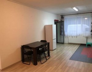 Appartement 2 chambres à louer dans Cluj-napoca
