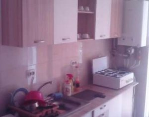 Appartement 1 chambres à louer dans Cluj-napoca