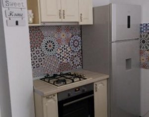 Appartement 1 chambres à louer dans Cluj-napoca, zone Andrei Muresanu