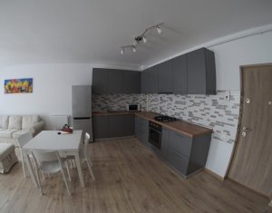 Lakás 2 szobák kiadó on Cluj-napoca, Zóna Intre Lacuri