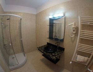 Appartement 3 chambres à louer dans Cluj-napoca, zone Gheorgheni