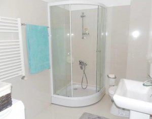 Appartement 1 chambres à louer dans Cluj-napoca, zone Marasti