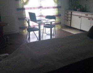 Appartement 2 chambres à louer dans Cluj-napoca