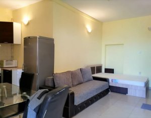 Studio à louer dans Cluj-napoca, zone Centru